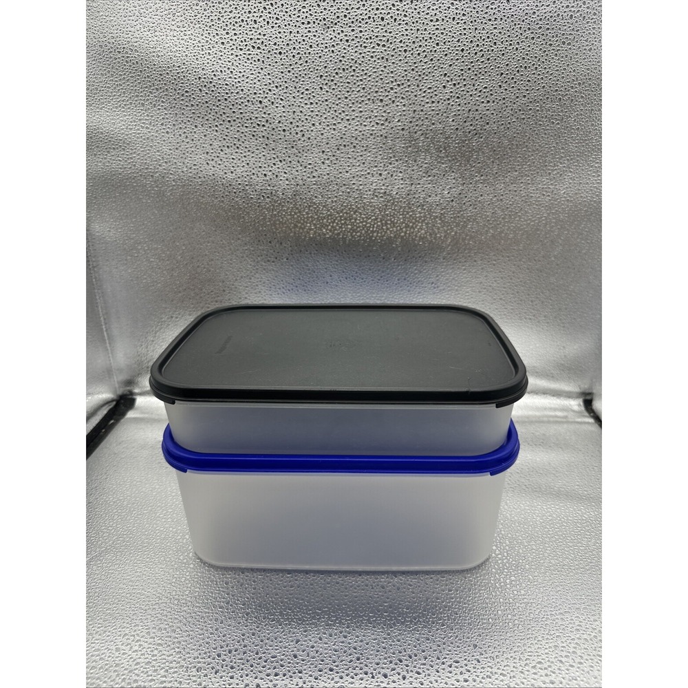 Tupperware Modular Mates CLEAR Rectangular W/Blue Black Lid